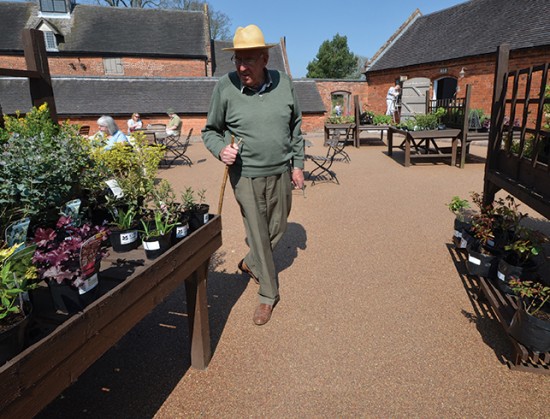 Driveway surfaces at Baddesley