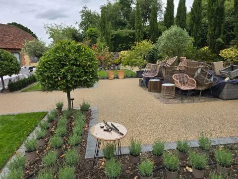 Resin bound garden path with planting