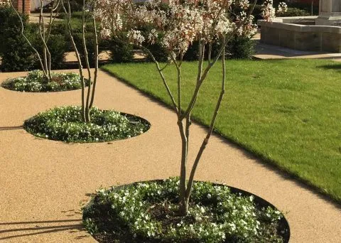 Resin bound terrace with outdoor planting