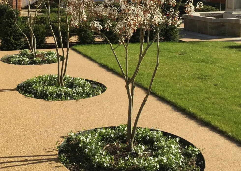 Resin bound terrace with outdoor planting